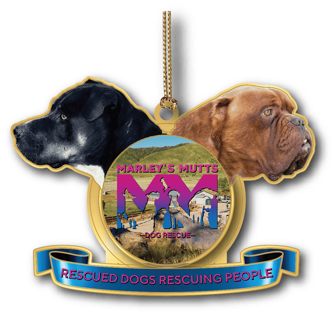 Custom Fundraising Ornaments for Nonprofit Organizations