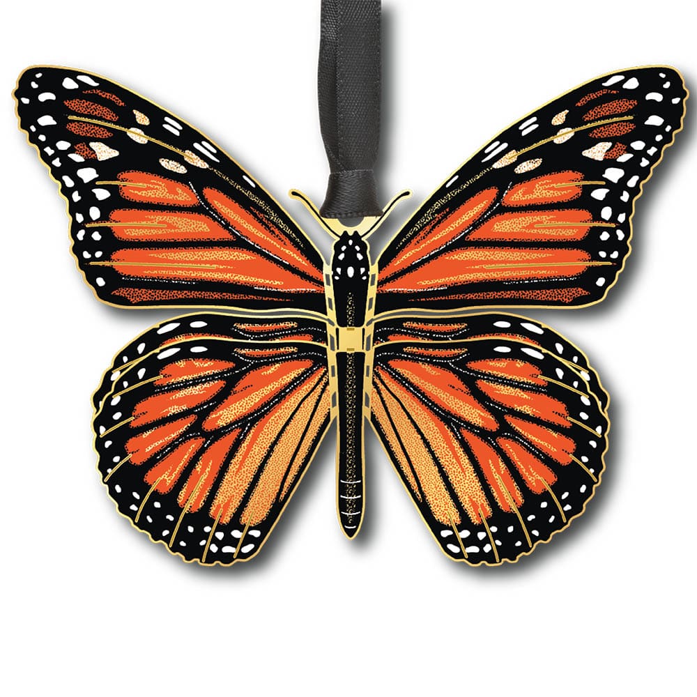 Monarch Butterfly w/ Oval Namedrop