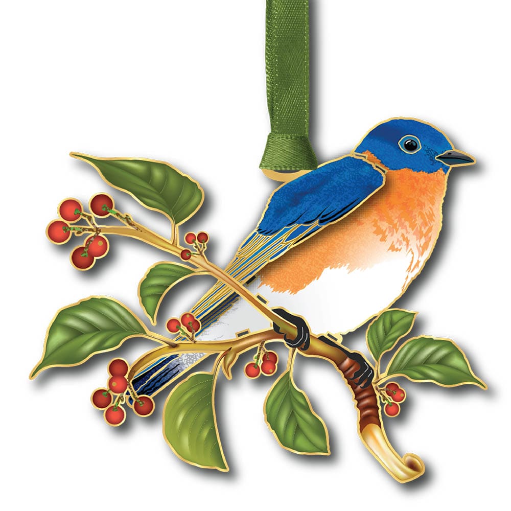 Bluebird in Nature