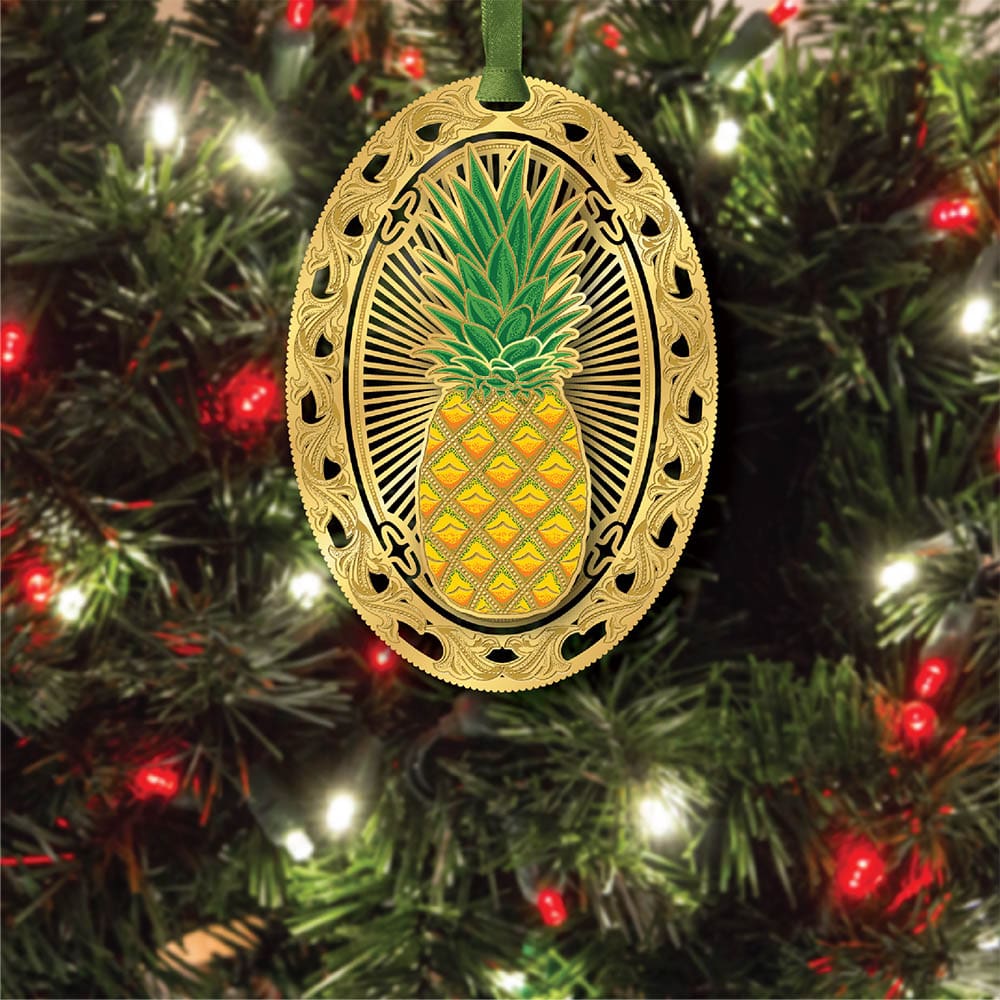 Hospitality Pineapple - Image 3