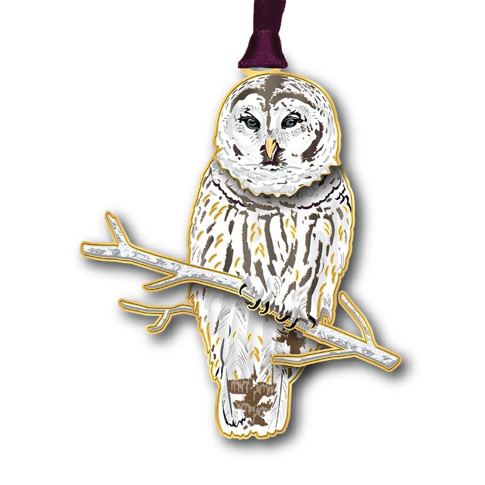 Winter Owl w/ Oval Namedrop