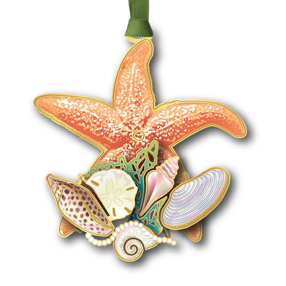 Shells and Starfish