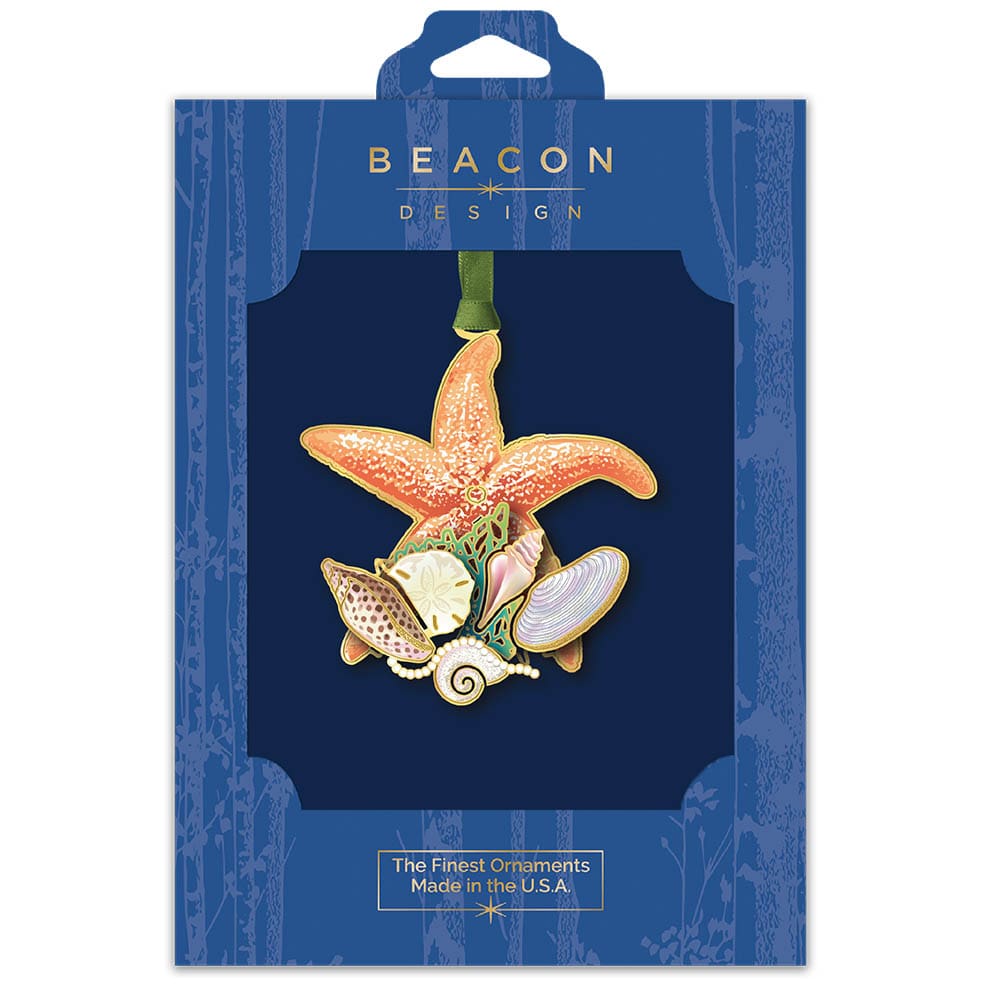 Shells and Starfish